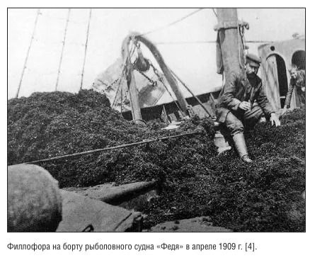 photo 2025 07 28 21 06 00 Туапсе инфо