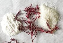 Сокровища Чёрного моря