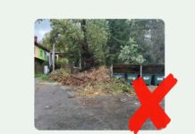 С 1 сентября 2025 года в России вступили новые Правила обращения с твердыми коммунальными отходами