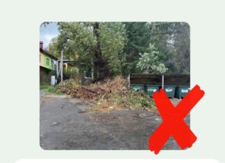 С 1 сентября 2025 года в России вступили новые Правила обращения с твердыми коммунальными отходами