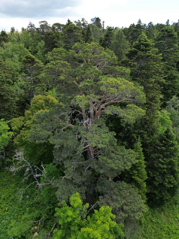 8c0214a7-8703-45c4-afa4-6c6d04bb18b8