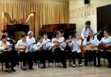 Детская школа искусств села Агоя получила новые концертные инструменты!