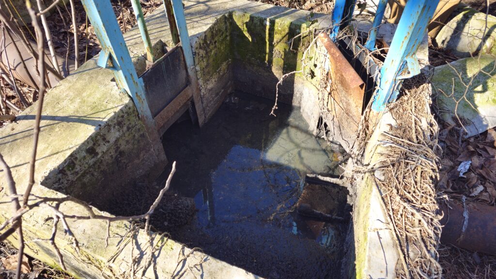 1000260482 Туапсе инфо