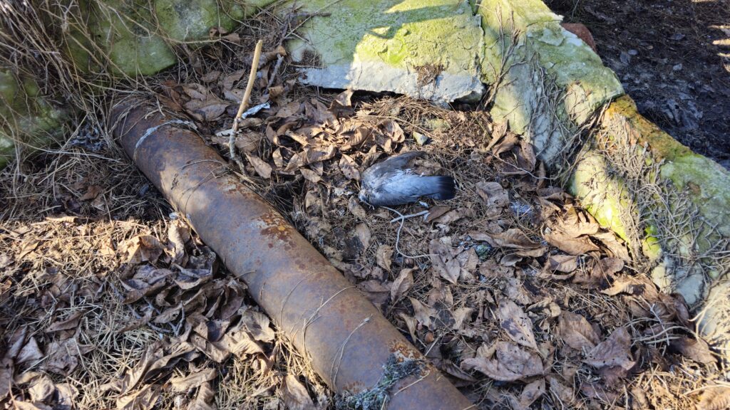 1000260483 Туапсе инфо