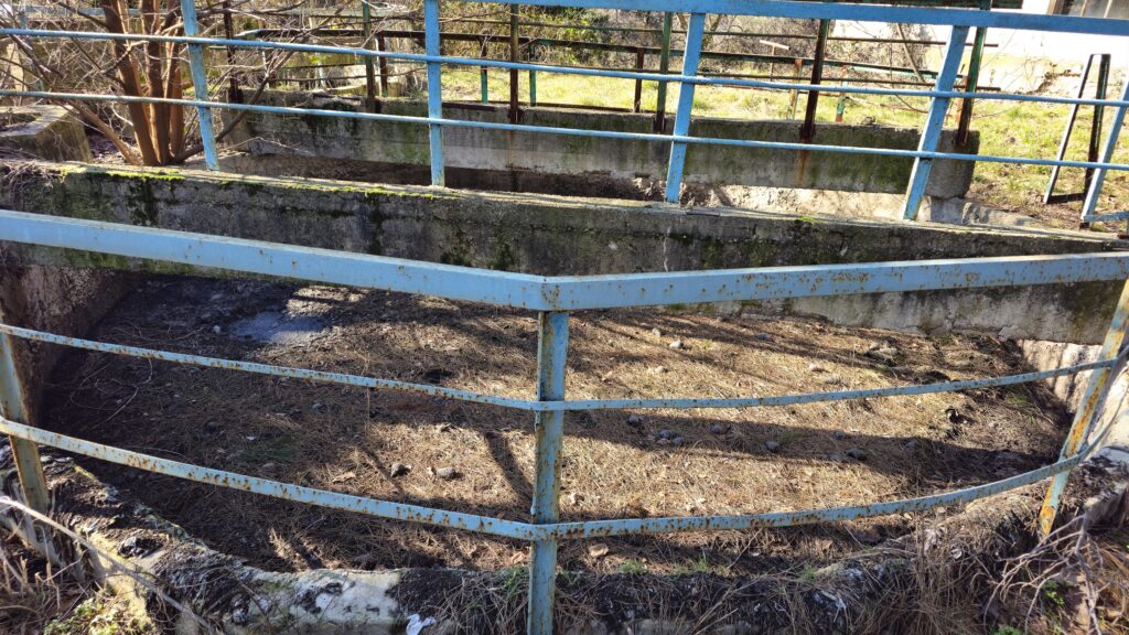 1000260484 Туапсе инфо