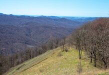 Туризм в Туапсинском округе