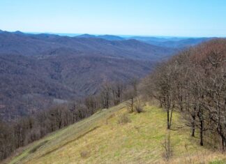 Туризм в Туапсинском округе IMG 20260214 194440 618 Туапсе инфо