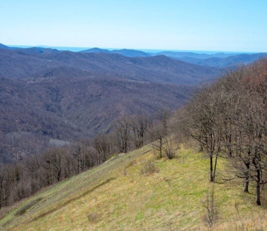 Туризм в Туапсинском округе