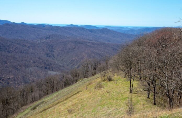 IMG_20260214_194440_618