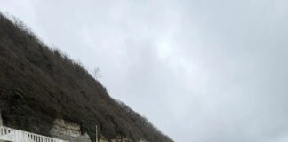 Отличились лучшие! Всекубанский субботник Туапсе инфо