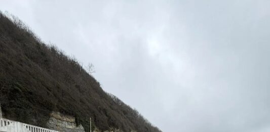 Отличились лучшие! Всекубанский субботник