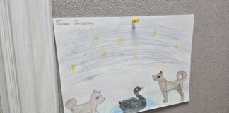 Уникальная школа для аутистов может исчезнуть из-за ЧС в Туапсе Туапсе инфо