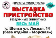 Выставка-пристройство весь май! Туапсе