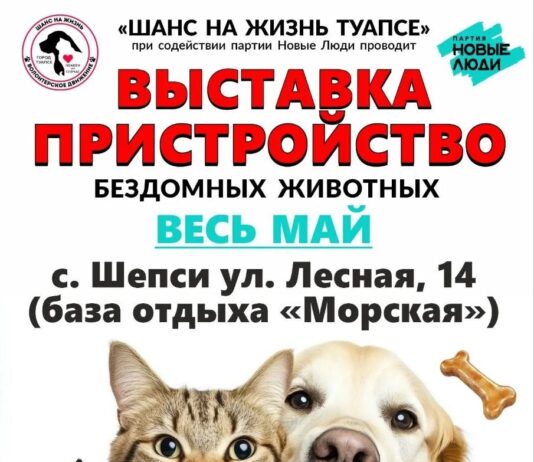 Выставка-пристройство весь май! Туапсе