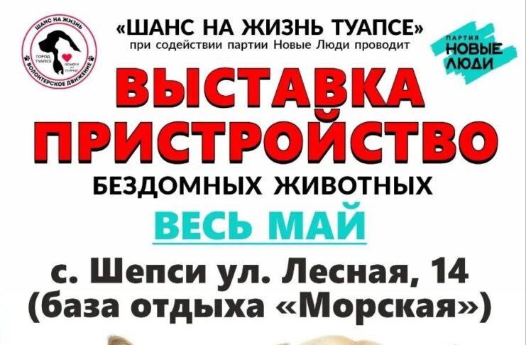 Выставка-пристройство весь май! Туапсе Туапсе инфо