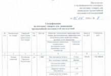 Три тысячи лопат купили чиновники Туапсе
