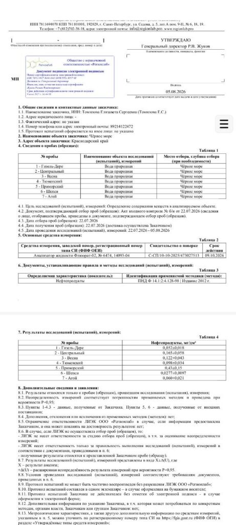 1000306582 Туапсе инфо