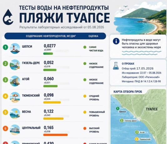 Чёрное море у побережья Краснодарского края: нефтяной след в воде