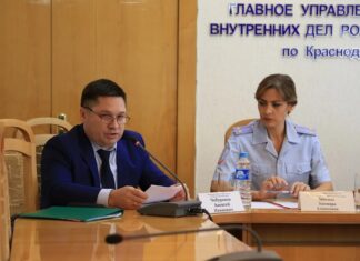 Крышевателя табачки отправили в Столицу IMG 20260914 110725 377 Туапсе инфо
