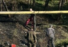 Дайджест новостей: безопасность, политика, экономика, регионы, технологии